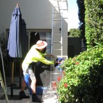 Eastern Suburbs Window Cleaner